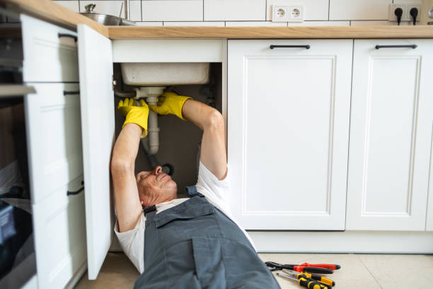 Best Same-Day Plumbing Service  in Tanaina, AK