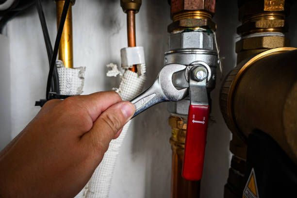Best Affordable Plumber Near Me  in Tanaina, AK